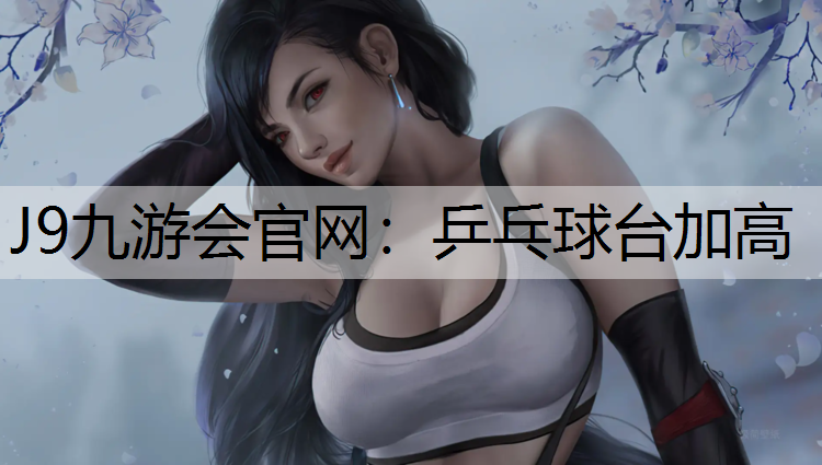 乒乓球台加高